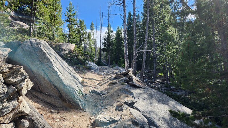 One of the steeper and trickier sections of the Upper Maud-S Trail.