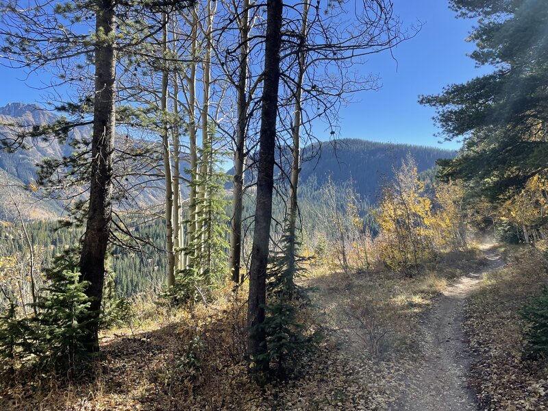 Bottom of Coal Creek Trail.