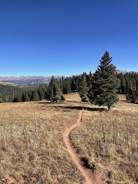 Upper Coal Creek open section.