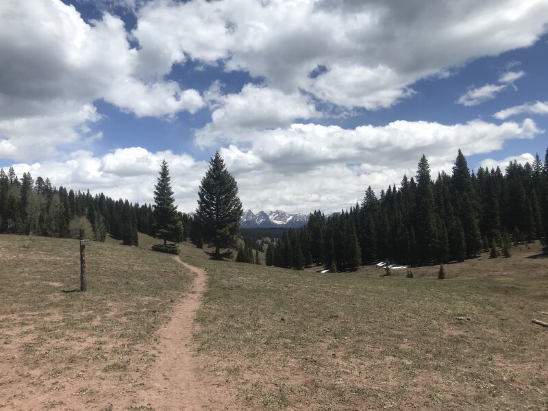 Top of Elbert Creek trail.