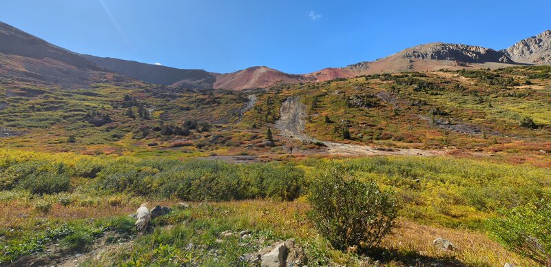 Nice colors above treeline