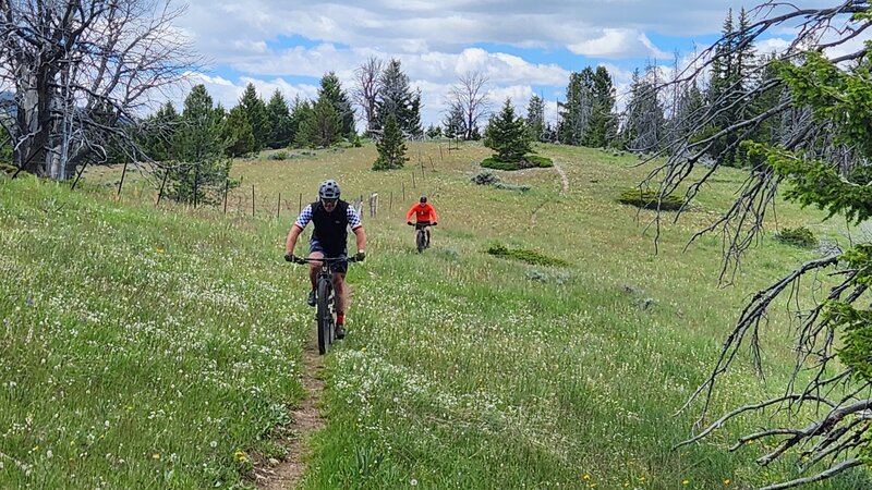 Two mountain bike riders descend a section of open meadow near Limekiln Hill on the Continental Divide Trail.