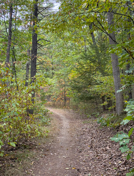 The fire roads at Harold Parker can let new riders explore the beautiful state forest.