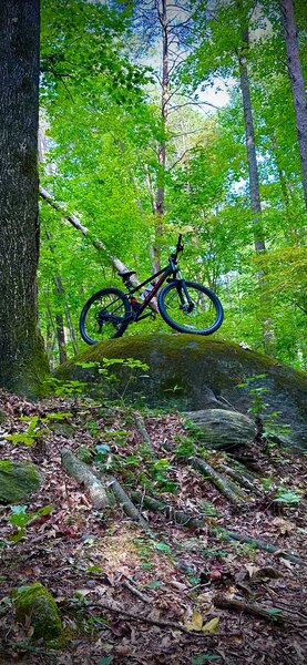 Dock feature at north side trails.