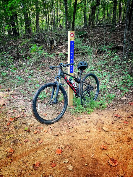 Bike lean against one of the exits of Jesus Trail (Salem Lake South).