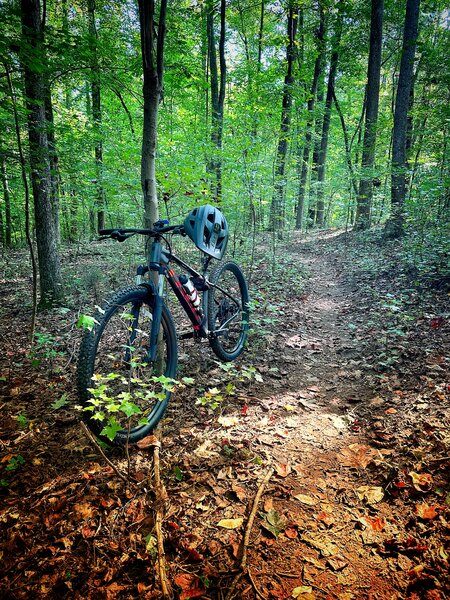 Trail side Jesus Trail (Salem Lake Southside).