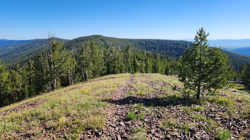 Chunky rock of the Black Pine Ridge Trail with great views on both sides.