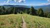 The Black Pine Ridge Trail passes through a beautiful alpine meadow. Photo is taken looking south, with the Black Pine Ridge on the left and the Willow Creek Valley on the right.