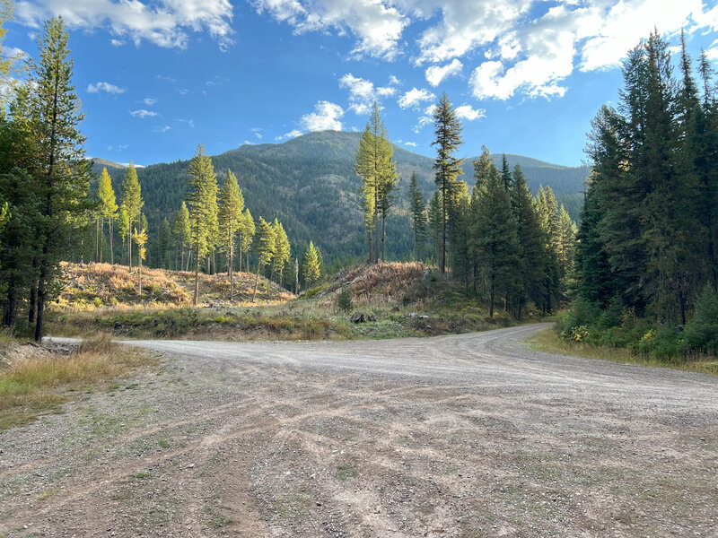 The parking area and road that is the beginning of the West Ousel Peak Trail #388.