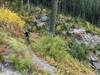 Climbing out of the woods and into the views.