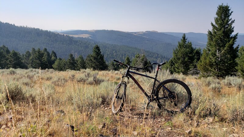 Views from a high alpine meadow on the CDT Trail.