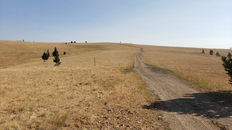 A large open meadow, and one of the places where the CDT trail crosses a dirt road. A marker post is shown where the CDT traverses to the left of the road.