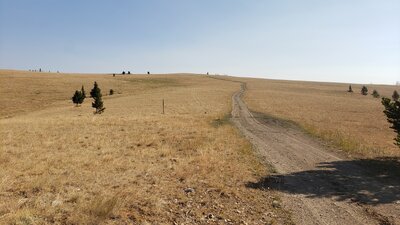 A large open meadow, and one of the places where the CDT trail crosses a dirt road. A marker post is shown where the CDT traverses to the left of the road.