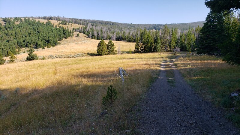 Another place where the CDT crosses the doubletrack. In this photo you can see it on the left hand side of the doubletrack where it will head up the hill in the background.