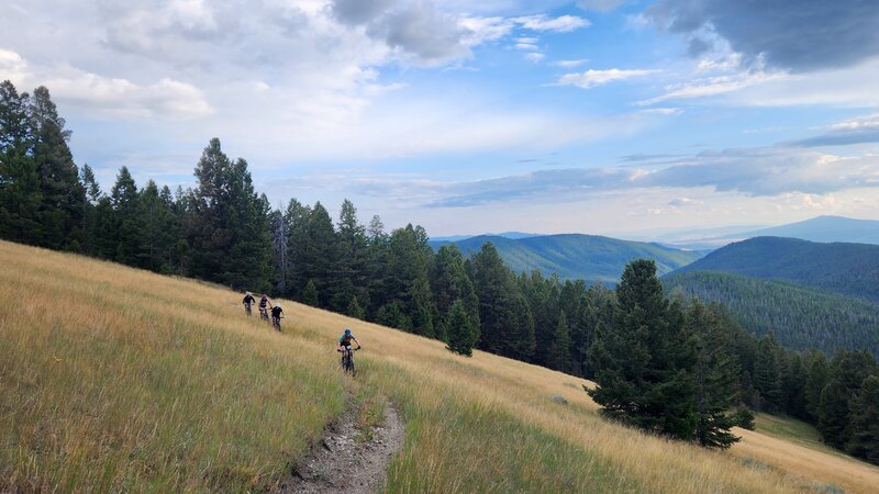 Mountain bikers ride traverse through a high alpine meadow with great views of the surrounding mountains in the distance.