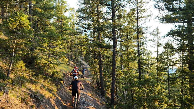 A group of mountain bikers tackle the last big climb on their way back from their ride along the CDT.