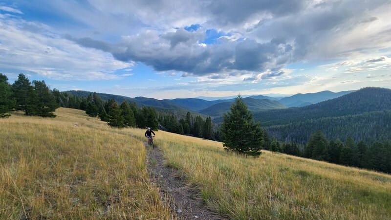 A mountain bike rider traverses through a high alpine meadow on the CDT trail north of Lowlands.