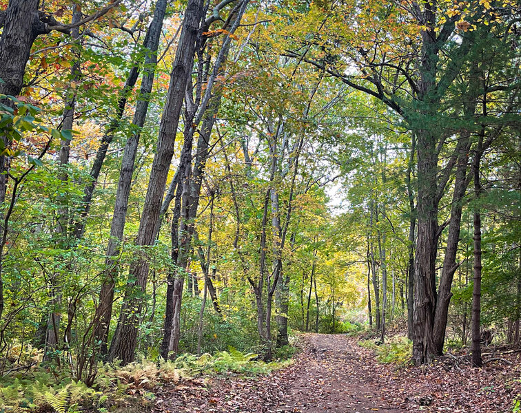 Autumn is an amazing time on the trails.