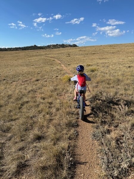 Ferguson Loop