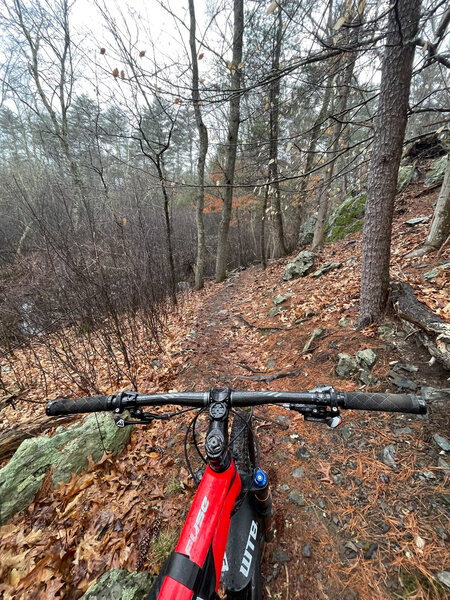 Singletrack and rocks... you're in New England.