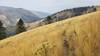 Nice views from open meadows on Sandstone Ridge Trail