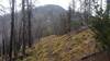 Hogback Ridge Trail in the mist.