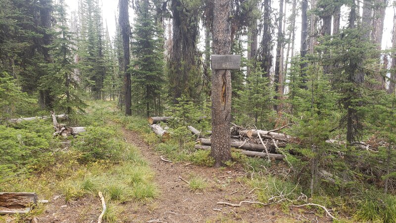 The junction of Hogback Ridge with Ranch Creek.