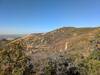 View of Lehi's Dream trail and the optional line from Mayor's South.