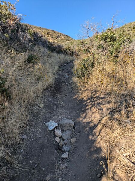 The Oak Hollow drainage and trail, steep and loose.