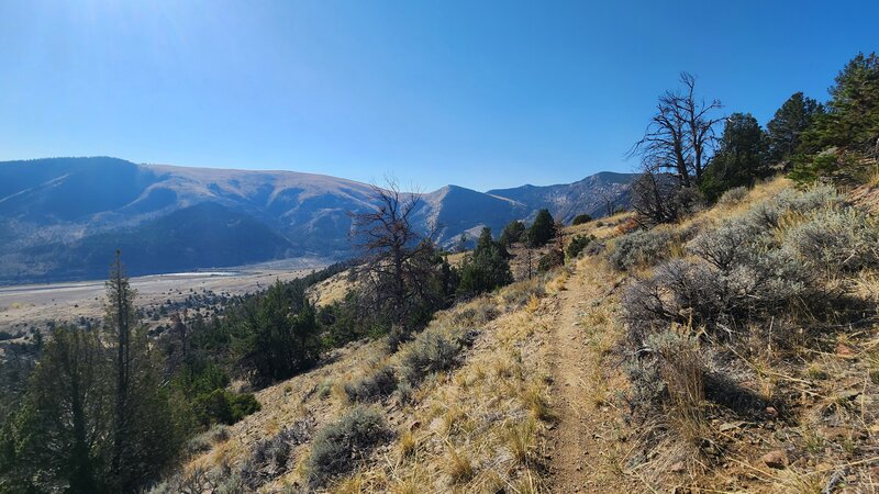 Great views of the Jefferson River Valley from Middle View Trail