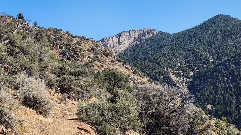 Ascending Middle View trail with spectacular mountain scenery in the background