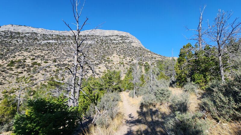 Mountain cliffs tower over the top part of the Cave Gulch Trail