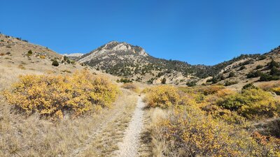 Some pretty fall colors on the DanMor Mine Trail.