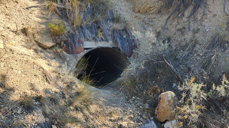 An old mine tunnel beside the Danmor Trail. A metal grating about 6 feet in prevents entry.