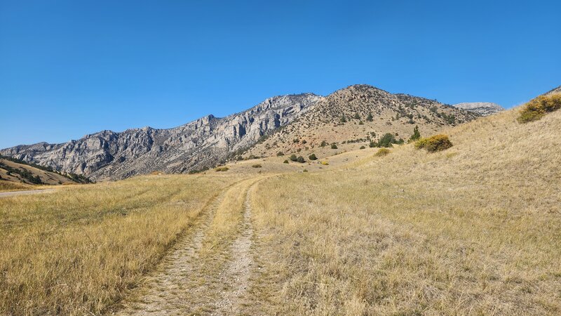 The very bottom of the Limespur Fishing Access Trail starts beside the road.