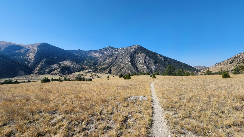 Beautiful views of the surrounding mountains from the Limespur Fishing Access Trail