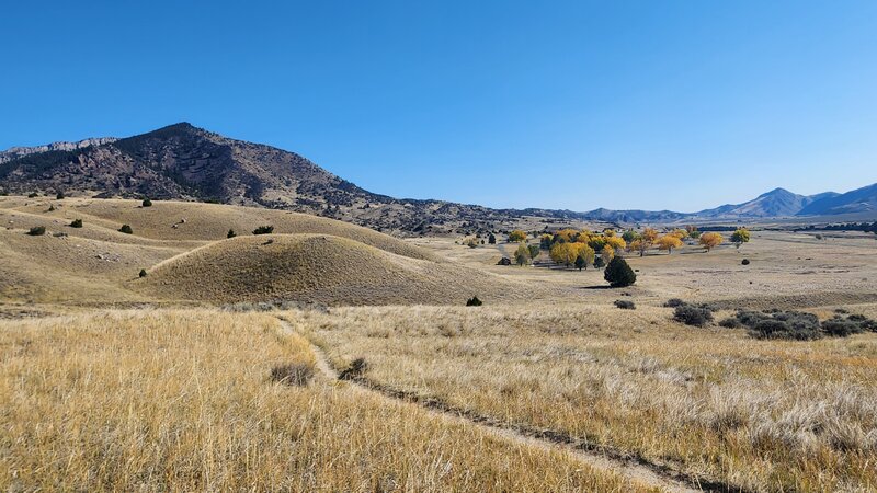 The Limespur Fishing Access Trail passes though open grassland surrounded by mountain peaks.