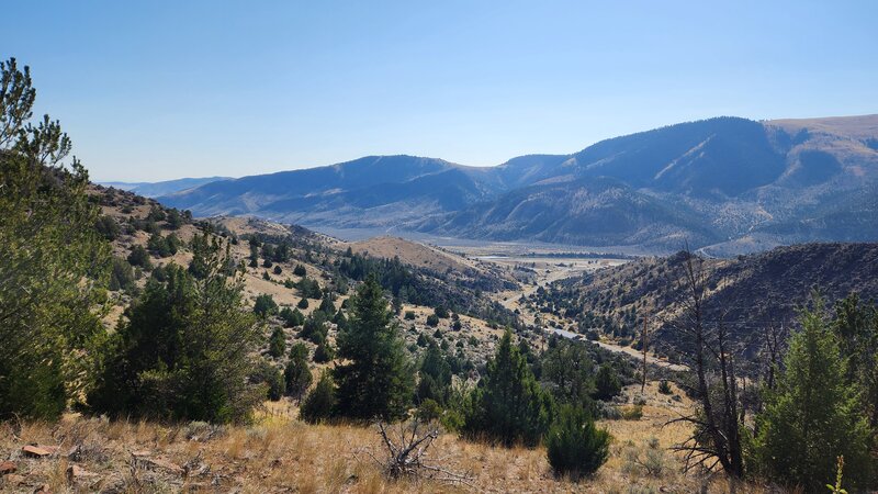 A view from Eastside Trail looking down Greer Gulch to the Jefferson River Valley.