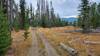 Bear Gulch Doubletrack just before coming out into the grassy meadows of Burton Park.
