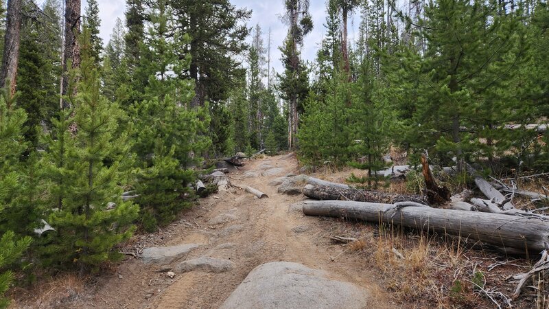 One of the more fun and featured sections of Bear Gulch Trail.