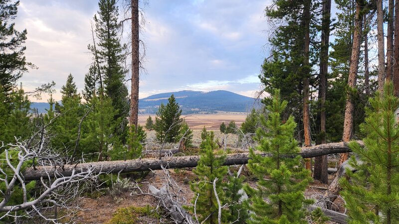 View from the CDT of the grassy meadows of Burton Park.