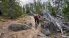 A mountain bike rider negotiates some typical trail conditions on the Highlands to Bear Gulch section of the CDT Trail.