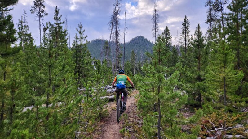 Riding this section of the CDT on a mountain bike offers a remote and wilderness-like experience.