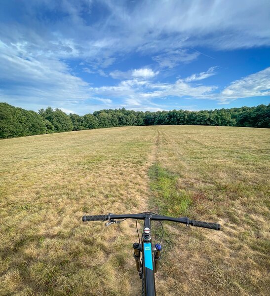 Wide open view from the top of Moon Hill. Killer spot if you hit it at sunrise or sunset.