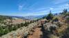 Straight and fast - cruising down the trail into Blue Eyed Nellie Gulch with views of Anaconda in the background.