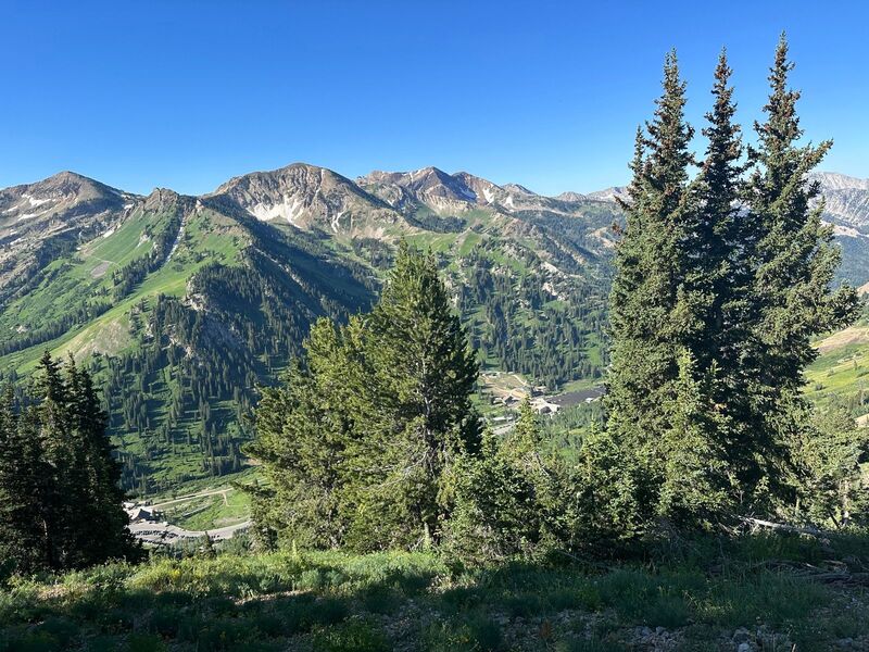 View south to LCC and Snowbird from the ridge.