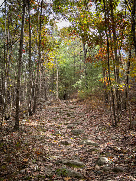 Rocks, more rocks, coming down from Fuller Hill to Walden Pond Rd.