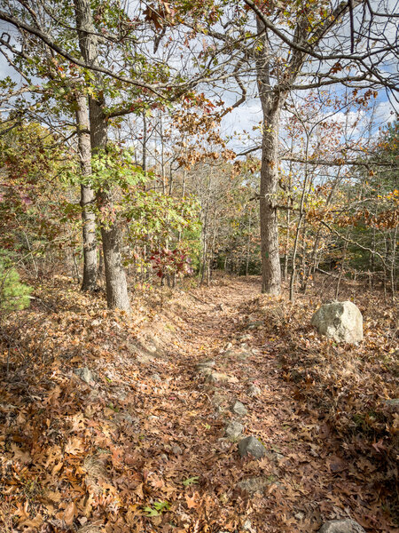 In the fall, leaves hide many rocks, but they're still there.