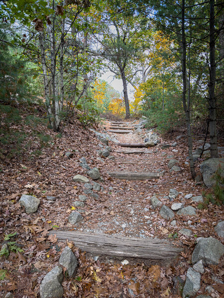 Stairs are fun to ride down, not so much going up.