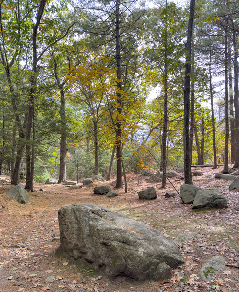 Frog Rock